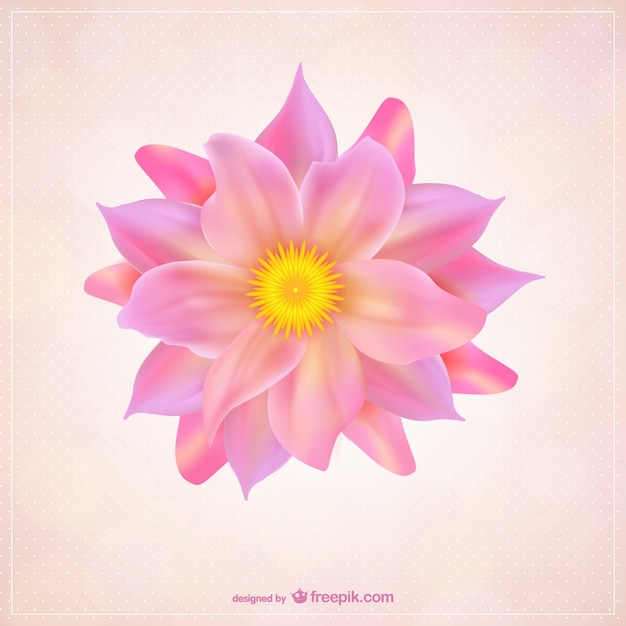 Flower with pink petals