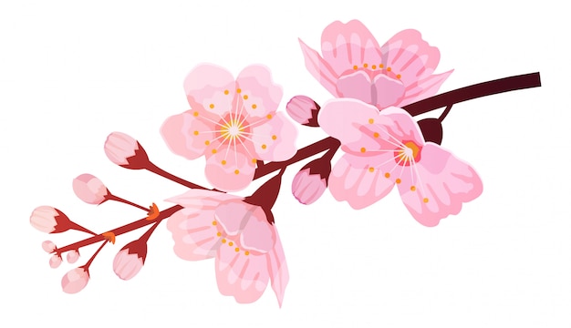 桜の開花枝 植物のイラスト さくらの花 プレミアムベクター