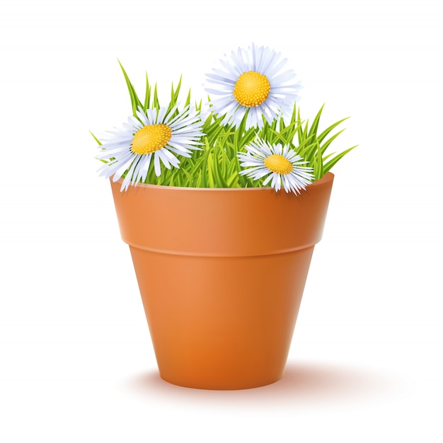 Flowerpot with flowers | Premium Vector