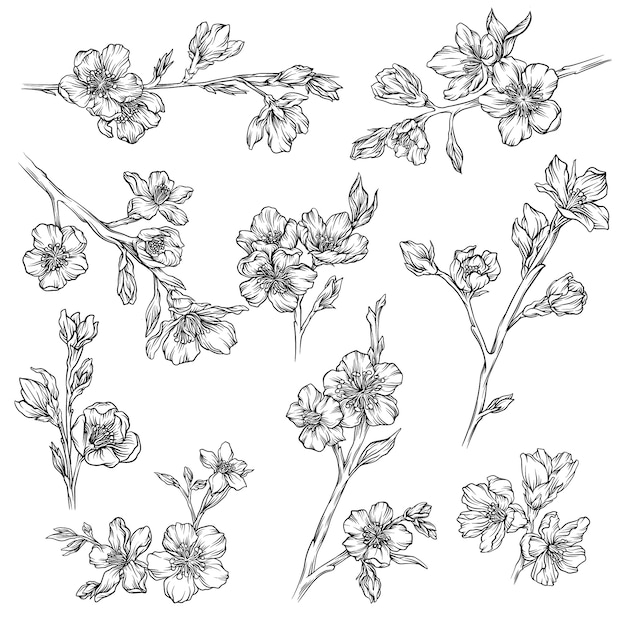 花や植物のコレクション モノクロ花要素手描きイラスト プレミアムベクター