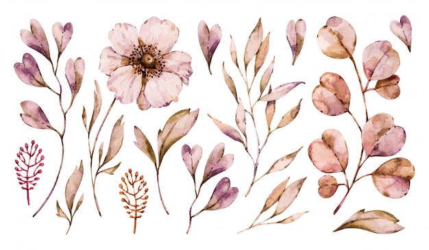 花アネモネと白い背景で隔離の手描きセットを残します 花の水彩画コレクション プレミアムベクター