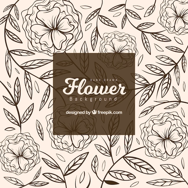 Flowers background with different\
species