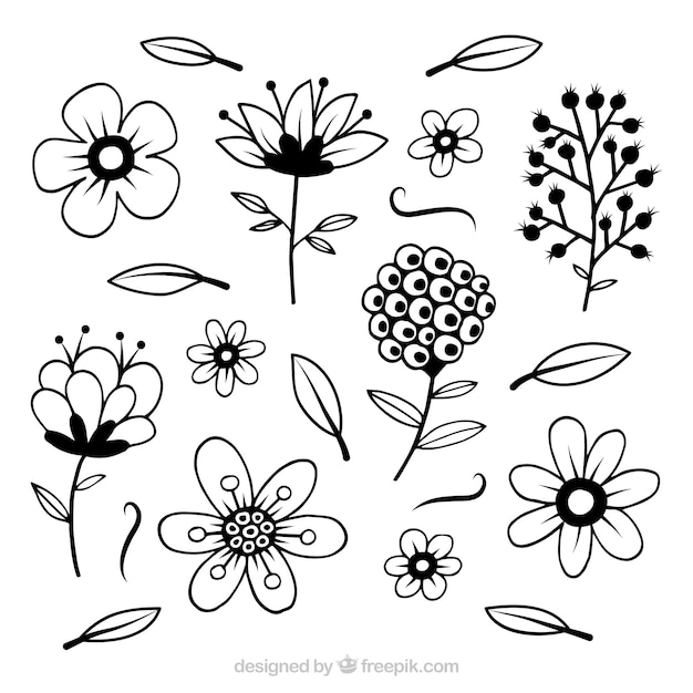 Download Flowers collection with stem in hand drawn style | Free Vector
