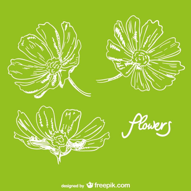 Download Free Flowers Hand Drawn Design Free Vector Use our free logo maker to create a logo and build your brand. Put your logo on business cards, promotional products, or your website for brand visibility.