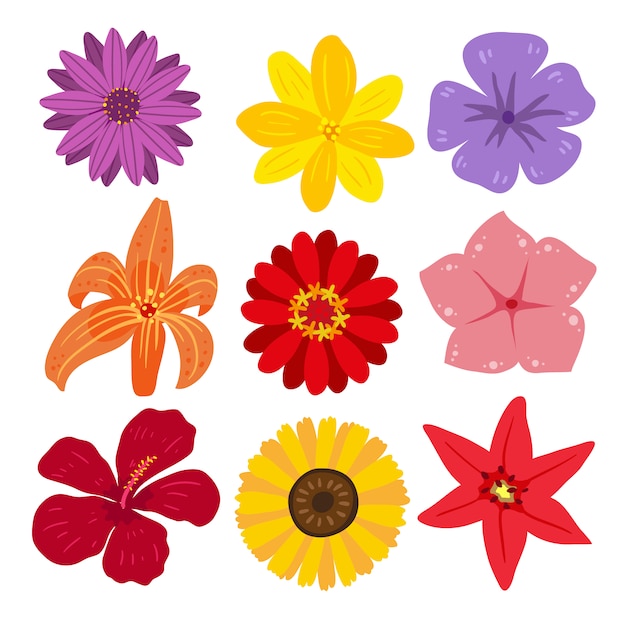 vector flowers illustration free download