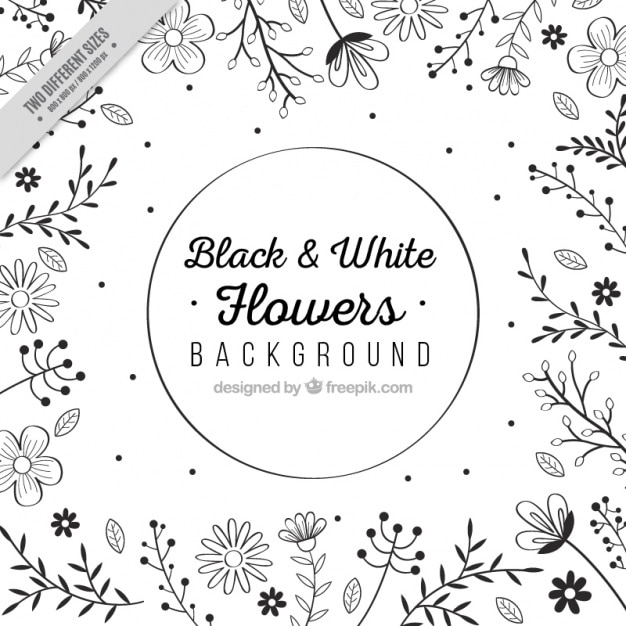 Flowers in black and white hand drawn