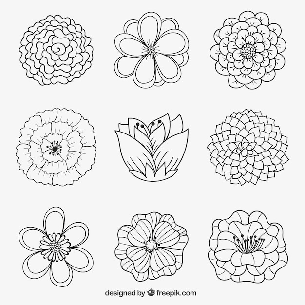 Free Free 231 Hand Drawn Flower Svg Free SVG PNG EPS DXF File