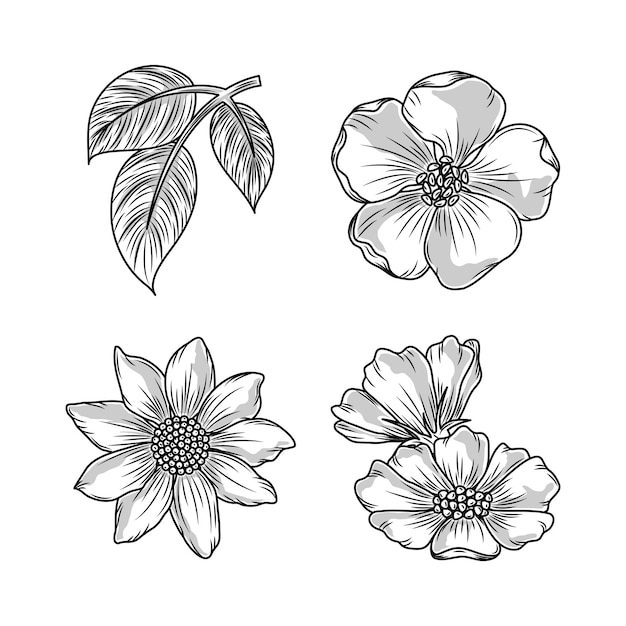 Premium Vector Flowers leaves sketch icons set