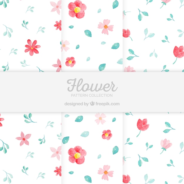 Flowers patterns collection in watercolor\
style