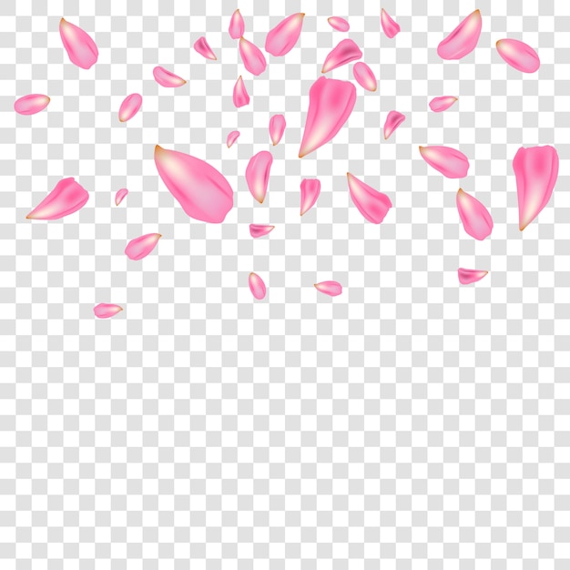 Flowers petals falling. Vector | Premium Download