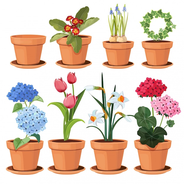 花ポット 装飾的な着色された植物は 面白いポット漫画イラストセット分離で自宅で育つ プレミアムベクター