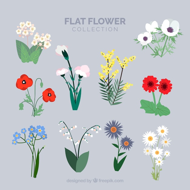 Flowers with stem collection in flat\
style