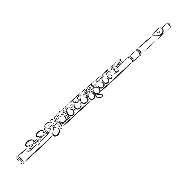 Premium Vector | Flute illustration, drawing, engraving, ink, line art ...