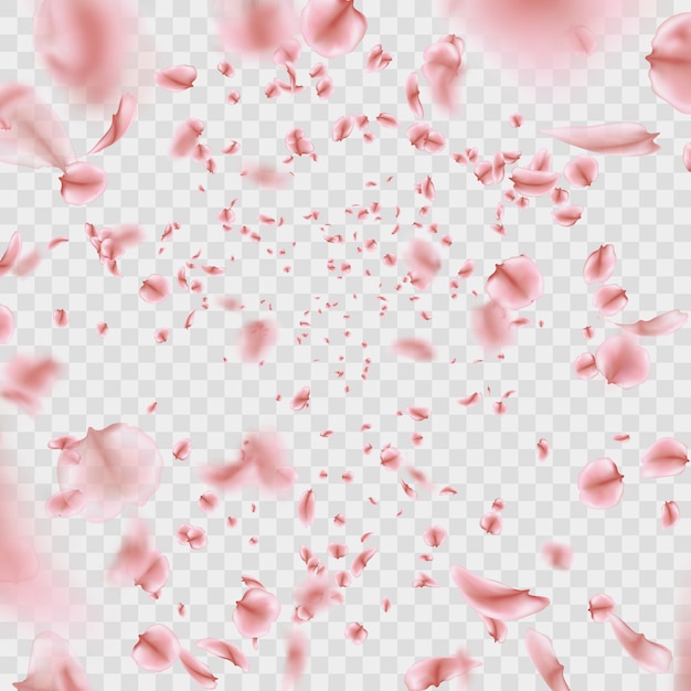 透明な背景にピンクの桜の花びら効果を飛ばします プレミアムベクター