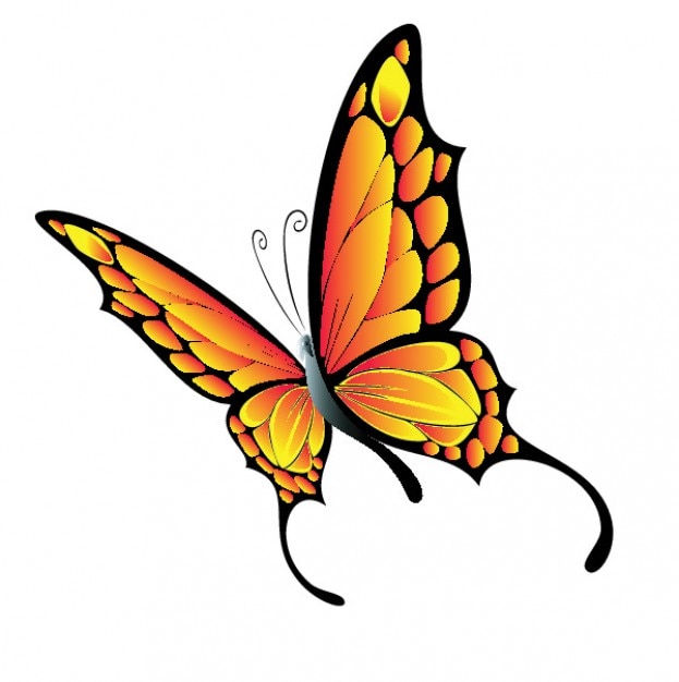 Download Free Vector | Flying butterfly