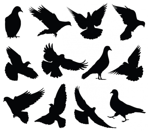 飛んでいる鳩のシルエットが分離されました ハトは愛と平和のシンボルを設定します プレミアムベクター