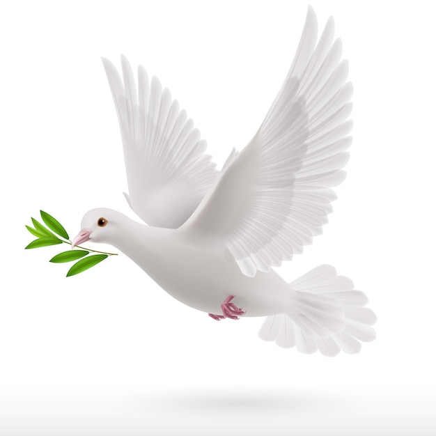 Download Free White Dove Images Free Vectors Stock Photos Psd Use our free logo maker to create a logo and build your brand. Put your logo on business cards, promotional products, or your website for brand visibility.