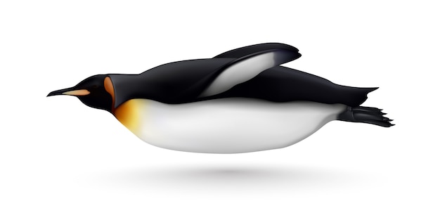 飛行または水泳美しいキングペンギンクローズアップサイドビュー現実的な分離画像に対して白 無料のベクター