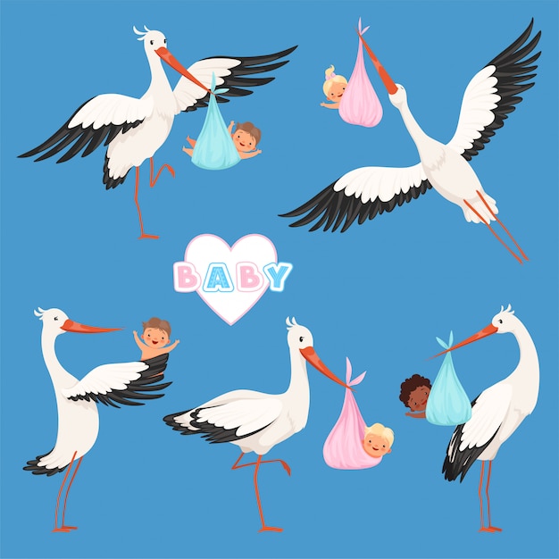 空飛ぶコウノトリの赤ちゃん 鳥配達新生児かわいい小さな子供は分離されたコウノトリのキャラクターを運ぶ プレミアムベクター