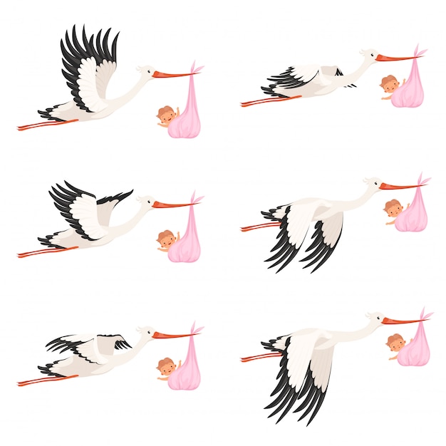空飛ぶコウノトリのフレームアニメーション 鳥配達生まれたばかりの赤ちゃんを運ぶ漫画のキャラクターの分離 プレミアムベクター