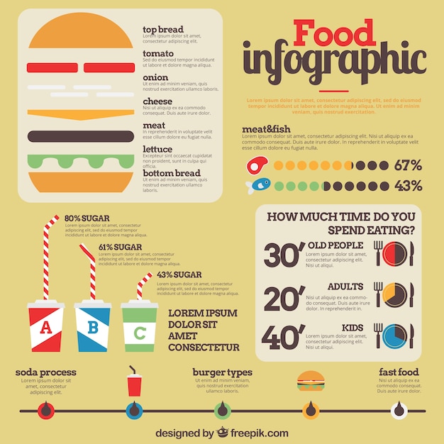 Food infographic template with burger and some graphs Vector | Free ...