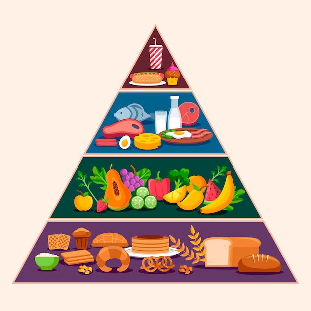 Premium Vector Food Pyramid Concept