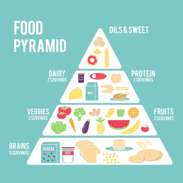 Free Vector | Food pyramid concept