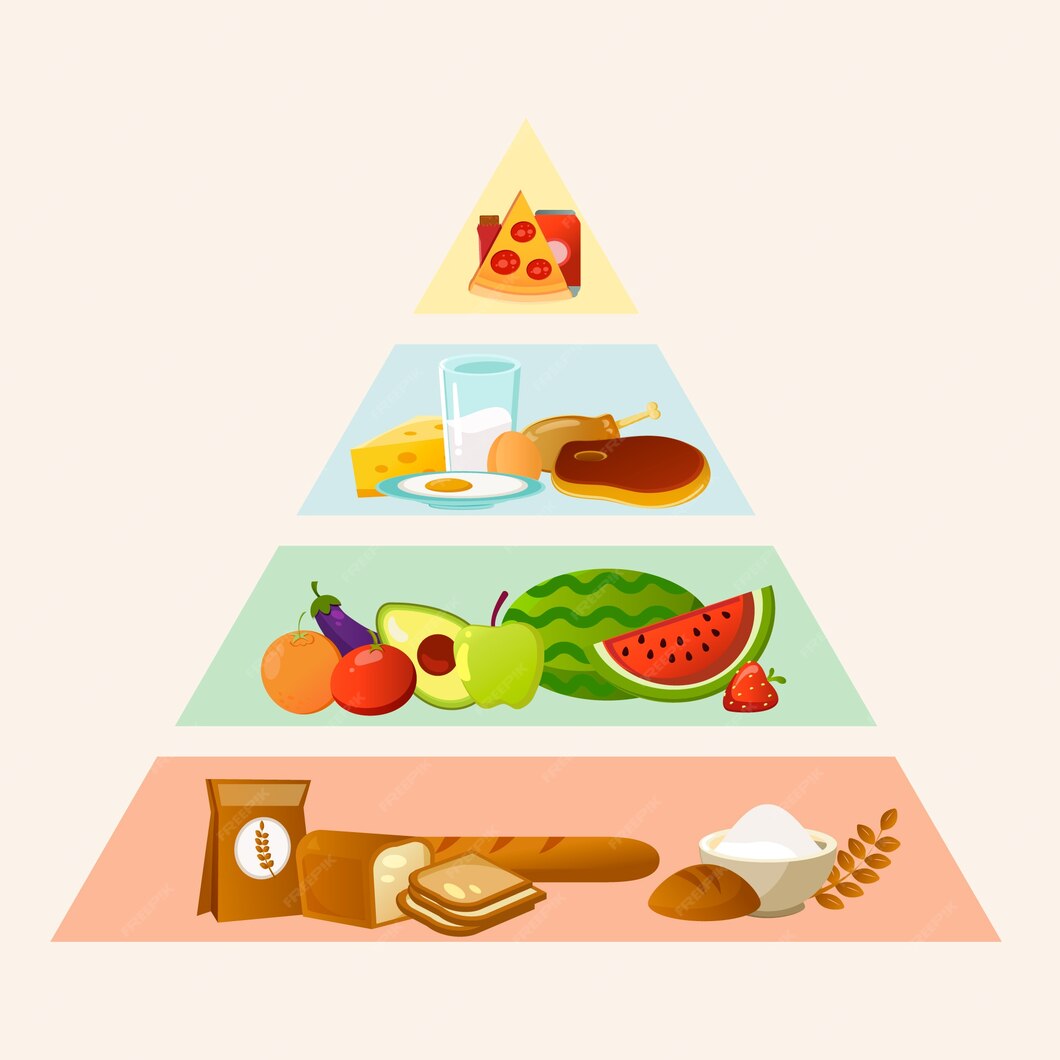 Free Vector | Food pyramid concept