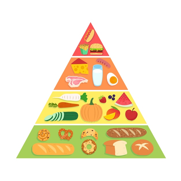 Free Vector | Food pyramid nutrition