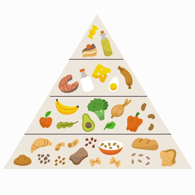 Food Pyramid Vector Food Pyramid Vector Food Food Images