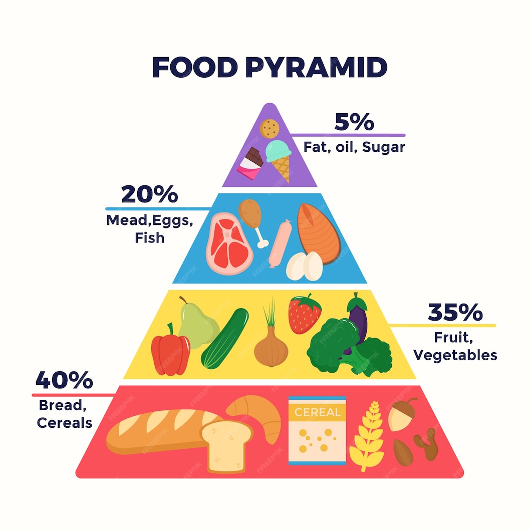 Free Vector | Food pyramid template concept