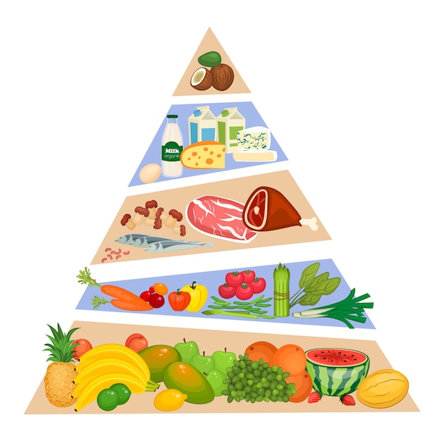 Food pyramid vector concept in flat design | Premium Vector