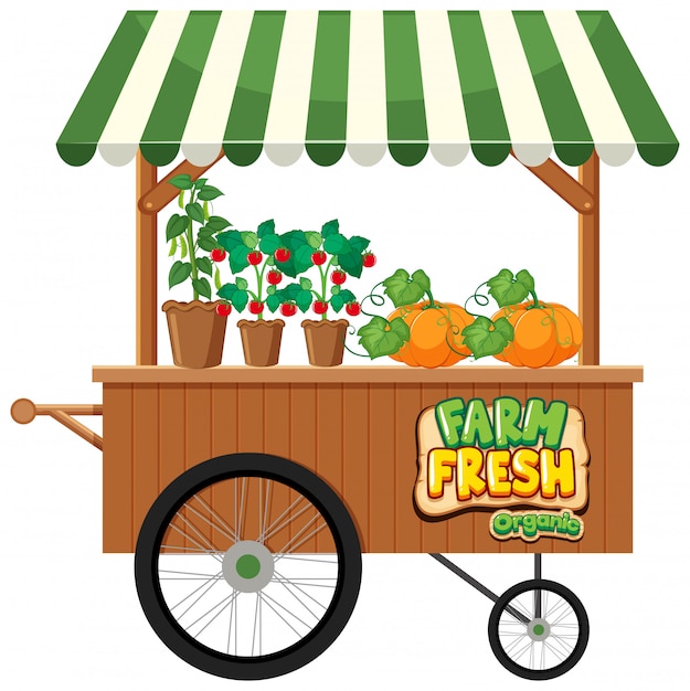 Premium Vector Food Vendor With Fresh Vegetables On White Background.