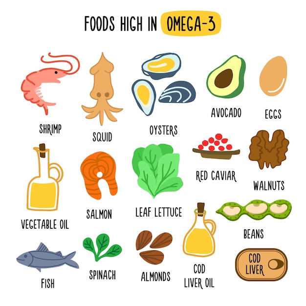 Premium Vector Foods High In Omega 3 Vector Illustration With Healthy Foods Rich In Vitamin 2922