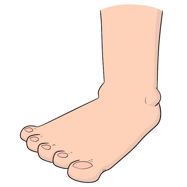 Foot Vector | Premium Download