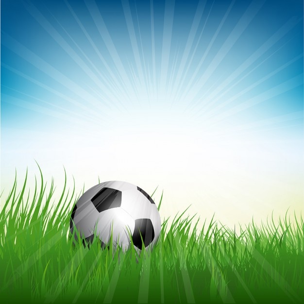 芝生に囲まサッカーサッカーボールのイラスト 無料のベクター