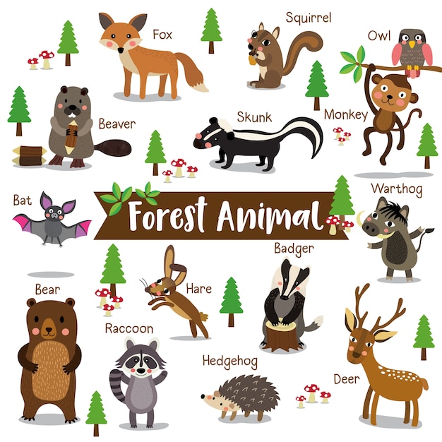Premium Vector | Forest animal cartoon with animal name