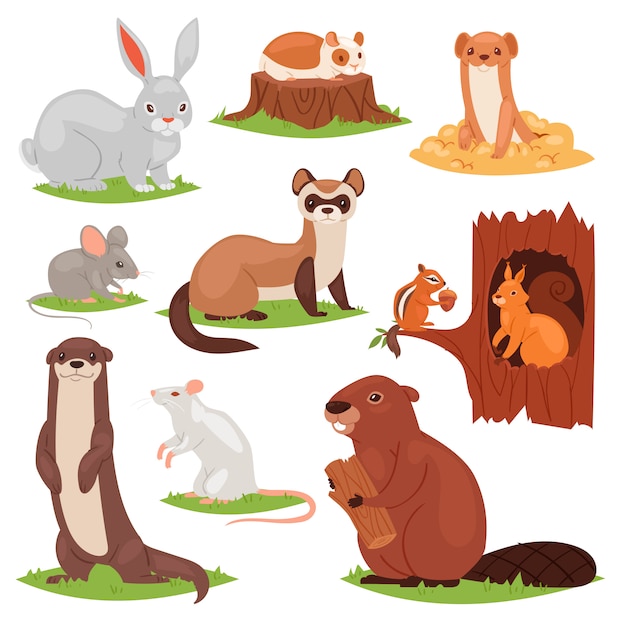 森の動物漫画の中空で野生のビーバーやバニーうさぎの森のイラストで動物のキャラクターリス プレミアムベクター