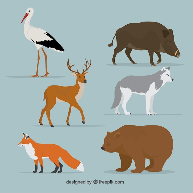 Forest animals set in realistic style