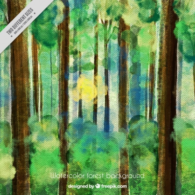 Forest background in watercolors