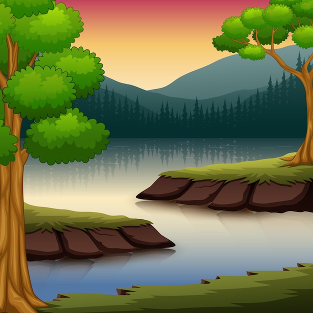 Premium Vector Forest Scene With Many Trees And River Illustration