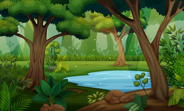 木と池のイラストが森のシーン プレミアムベクター