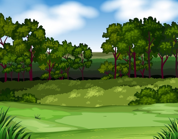 Free Vector | Forest scene with trees and field background