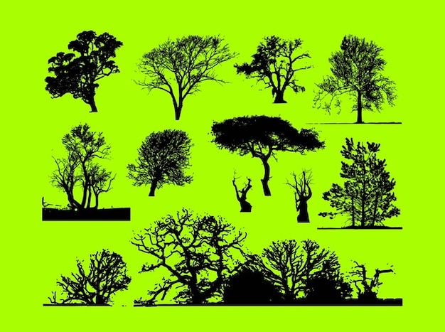 Forest trees graphics vector cutout Vector | Free Download