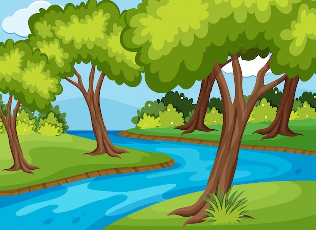 Premium Vector | Forrest scene with river run through