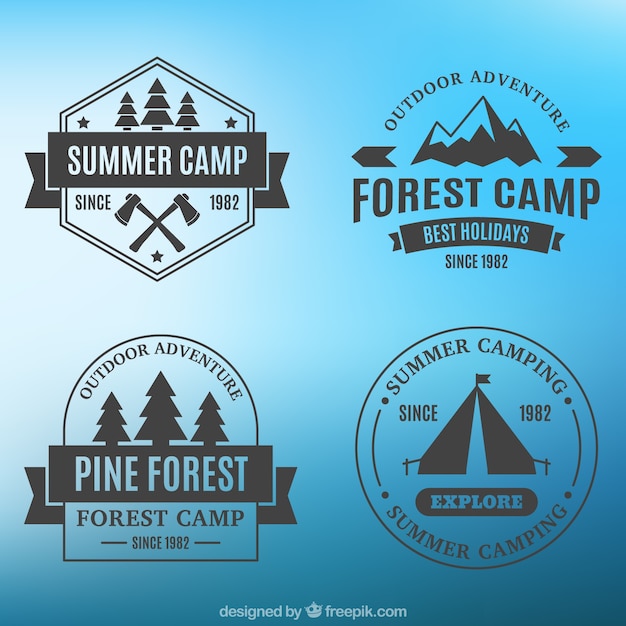 Four badges of camping on a blue\
background
