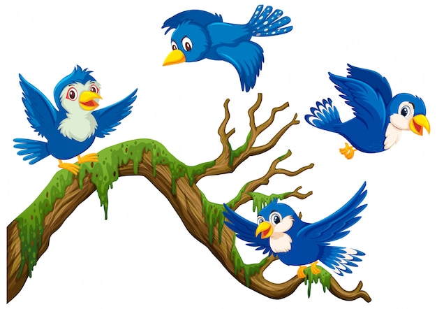 枝の周りを飛んでいる4つの青い鳥 プレミアムベクター