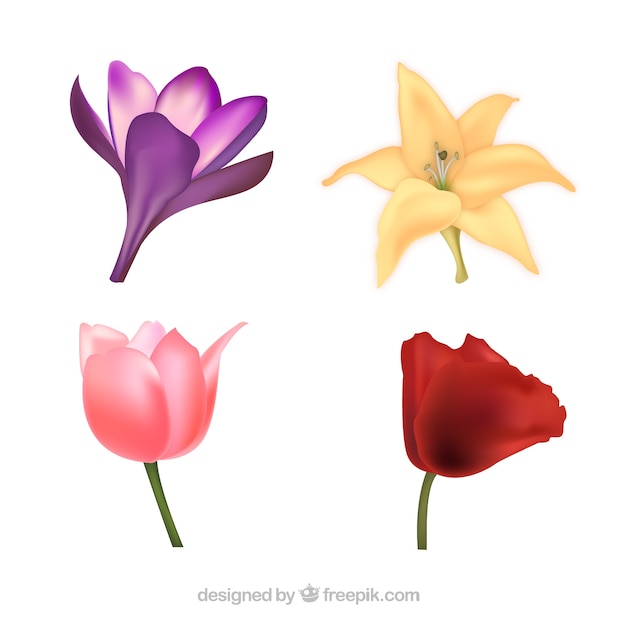 Download Four cute flowers Vector | Free Download