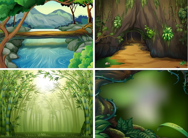 Four different forest scenes