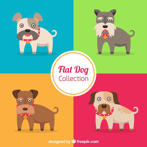 Four dogs in flat design